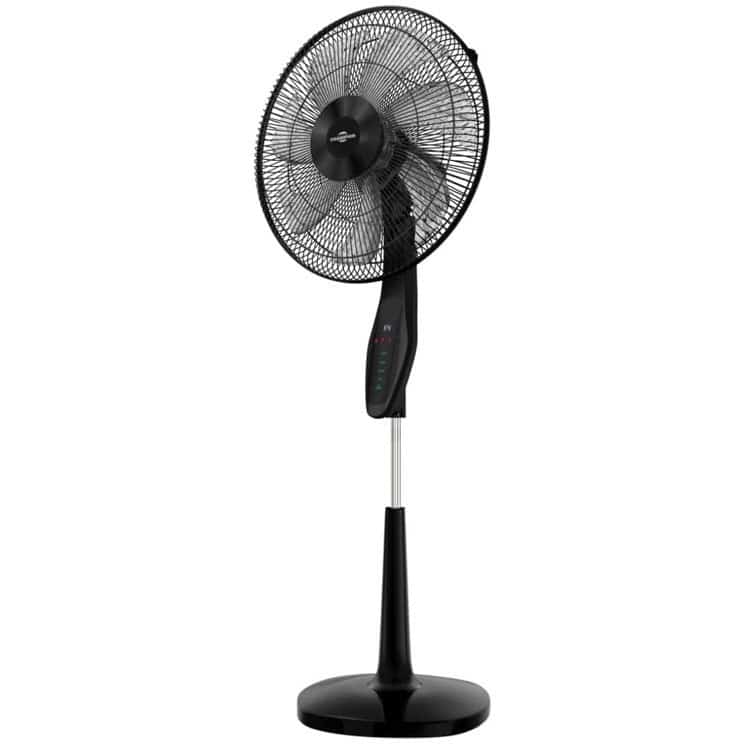/storage/produits/product/520/01KQ01HRAR9RPEB3X6PE009NFZ.jpg